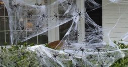 Como Fazer Teia de Aranha para Halloween: 6 Passo a Passos Fáceis