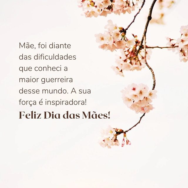 texto dia das mães