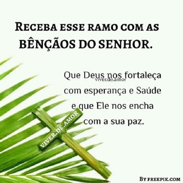 bom dia domingo de ramos