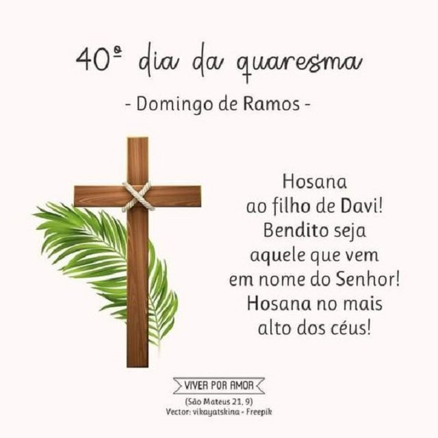 bom domingo de ramos