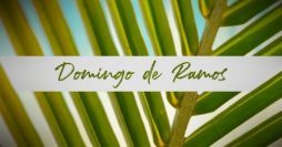 Mensagem Domingo de Ramos: 40 Modelos para Enviar e Imprimir