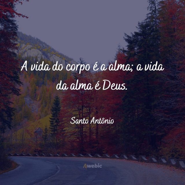 frase santo antonio