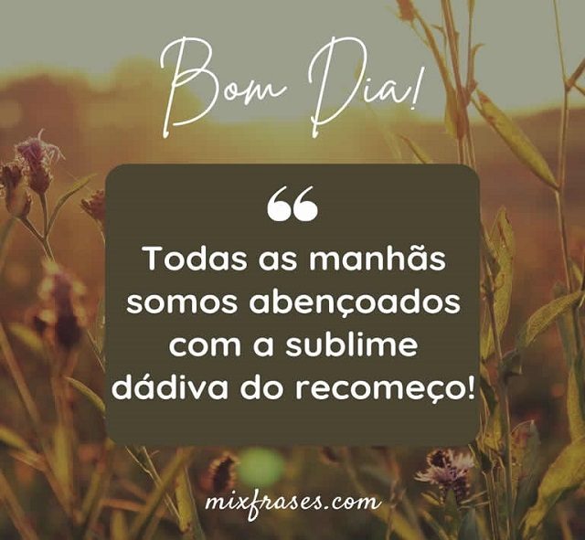 frases de bom dia reflexão