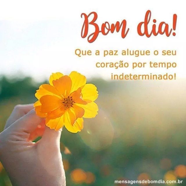 mensagem de bom dia