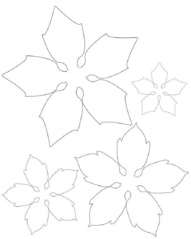 molde para flor de papel