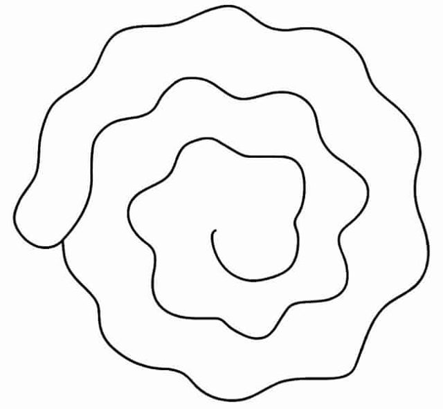 molde flor espiral