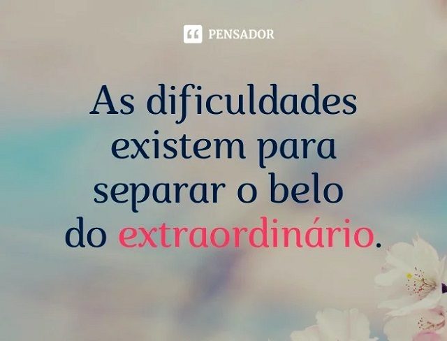 frases para status