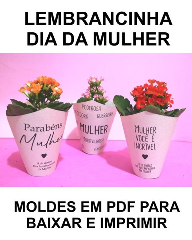 suculentas para o dia das mulheres