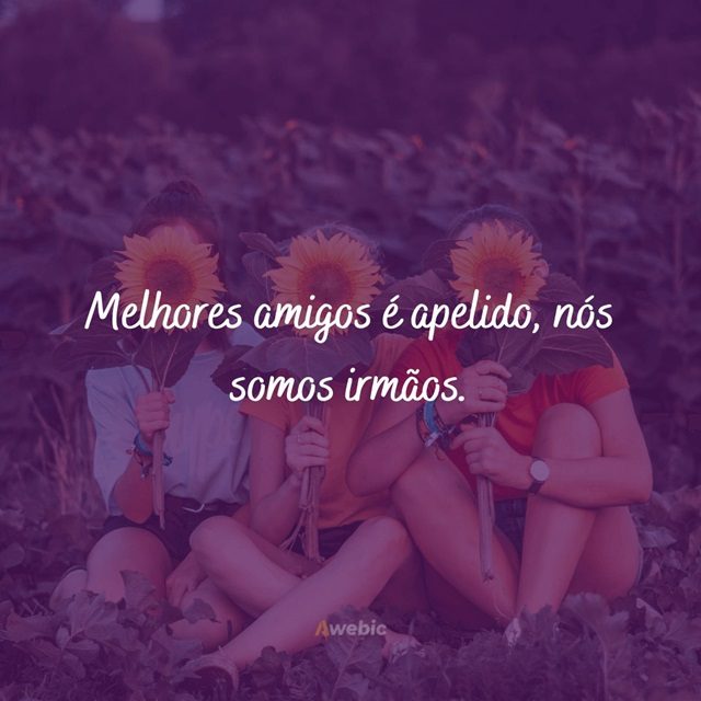 amizade frases bonitas