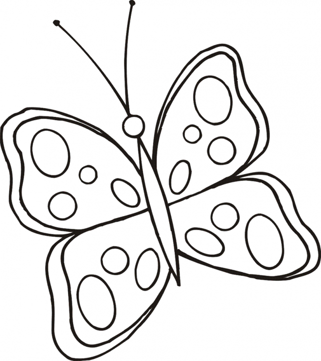 borboleta molde eva