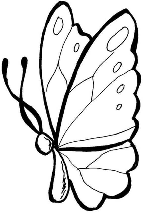 borboleta molde para imprimir