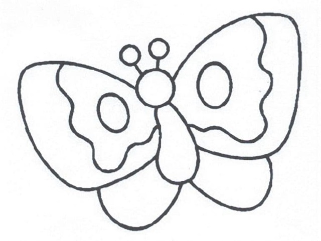 borboleta molde png