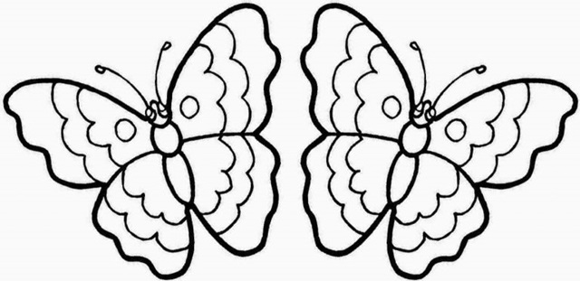 desenho borboleta