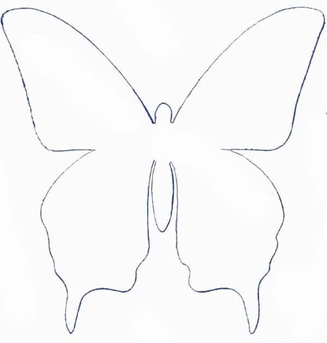 asa de borboleta molde