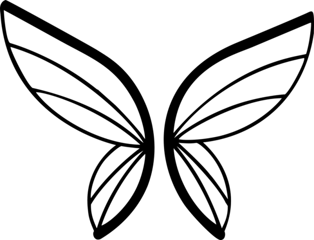 asa borboleta