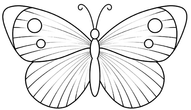 como fazer borboleta de eva