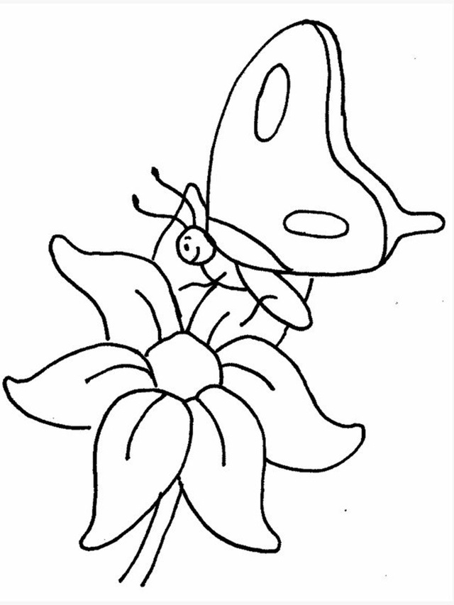 molde borboleta desenho