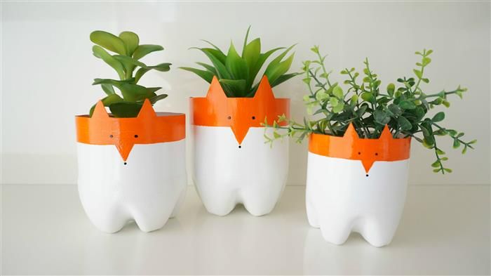 vaso de planta de garrafa