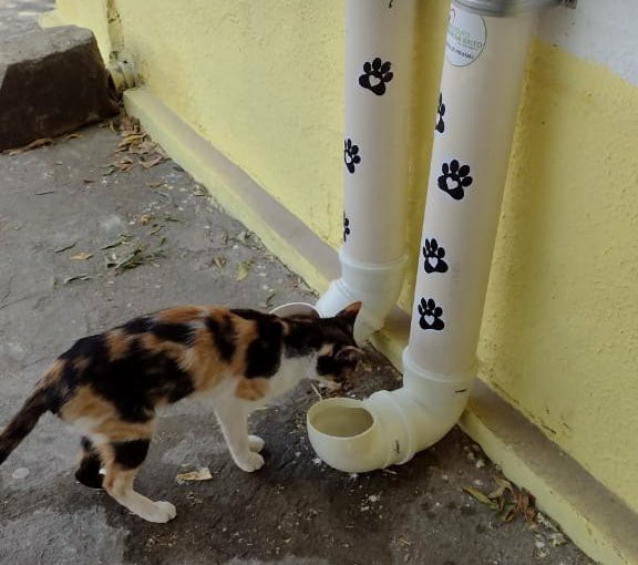 cano pvc para pets