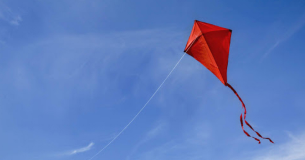 Como Fazer Papagaio em Casa: Passo a Passo Completo